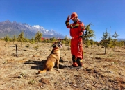 关于埃因霍温内部会议纪要流出——转会期战术微调，意大利杯使命明确，训练强度明显提升的信息